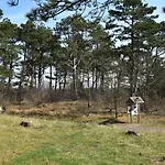 Bergen Near & Dunes