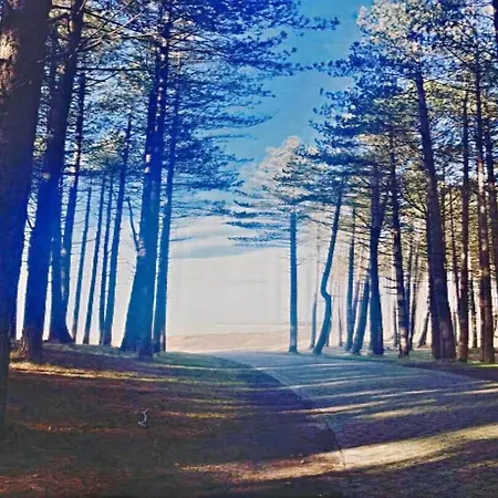 Bergen Near & Dunes Ferienhaus *